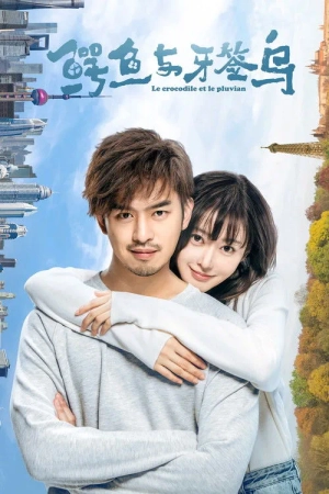 Poster phim Cá Sấu Và Chim Tăm