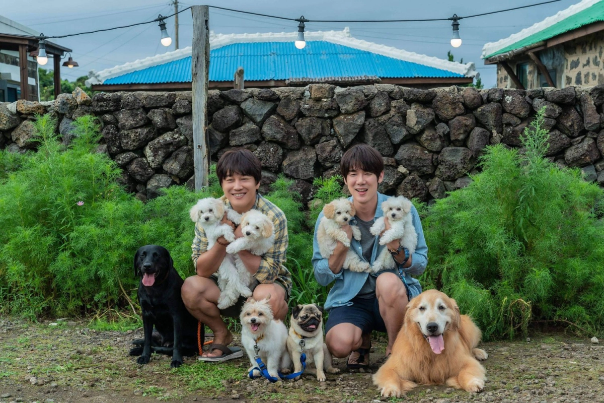 Tìm Nhà Cho Boss (My Heart Puppy)